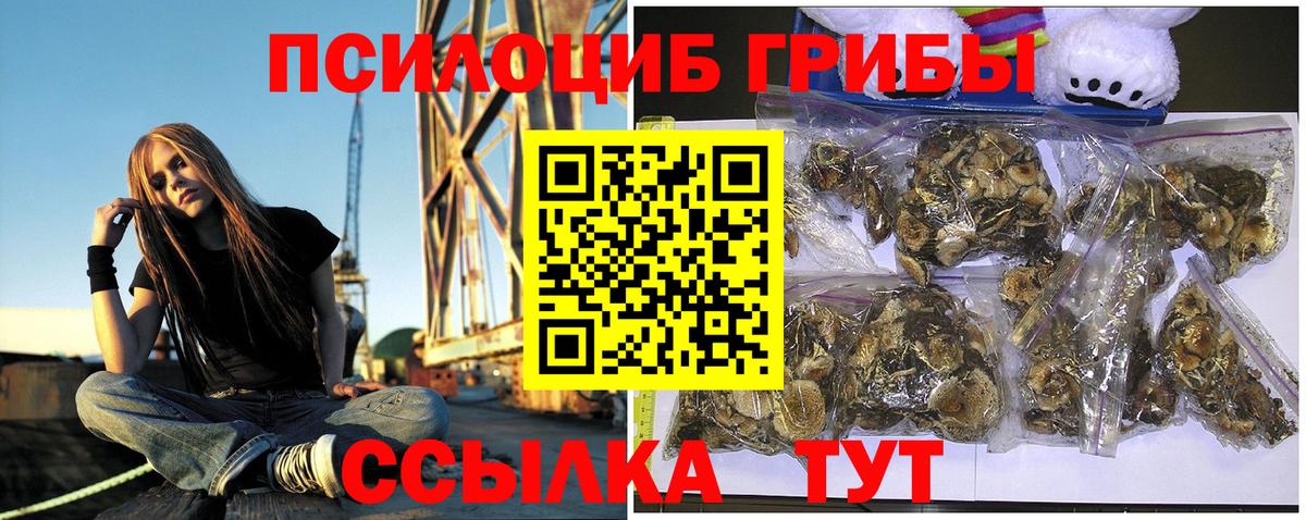 Псилоцибиновые грибы прущие грибы Сальск